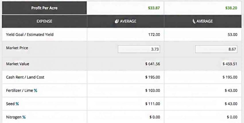 Seeing Profitability With The ROI Calculator Tool