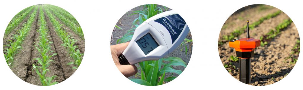 Measuring Early-Season Nitrogen